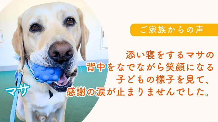 入院する子どもたちを笑顔に！ファシリティドッグ育成基金2023 5枚目