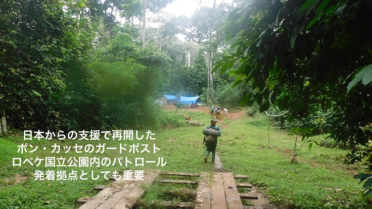 【緊急支援第２弾】マルミミゾウの楽園を密猟者の手から護りたい！！ 6枚目