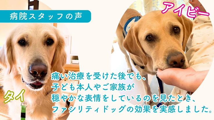 入院する子どもたちを笑顔に！ファシリティドッグ育成基金2023 6枚目