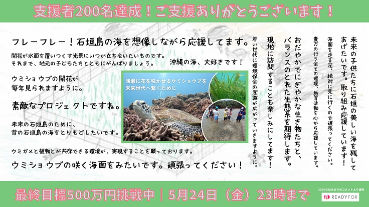 石垣島の海を守るウミショウブを子どもたちと復活させたい! 2枚目