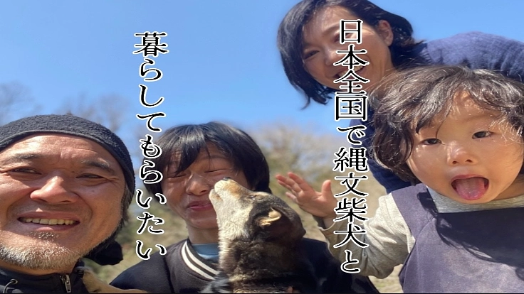 人を守る縄文柴犬、未来へ繋ぎたい！ 2枚目