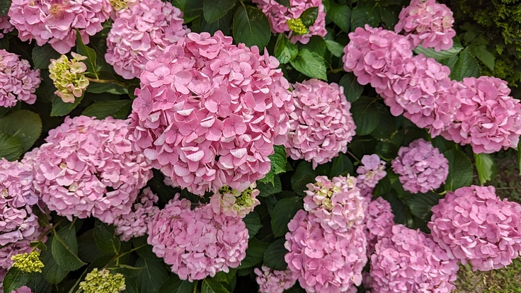 制度の狭間にいる引きこもりがちな人の一歩前進を応援したい。 5枚目