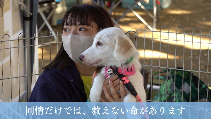 映画『吾輩は保護犬である』完成！映像の力で命の尊さを全国に伝えたい 3枚目