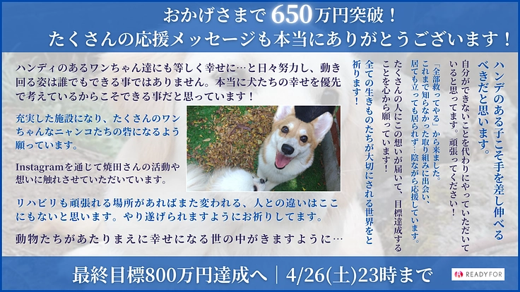 可能性は無限大！ハンディがある犬猫のためにリハビリスペースの増設を 2枚目