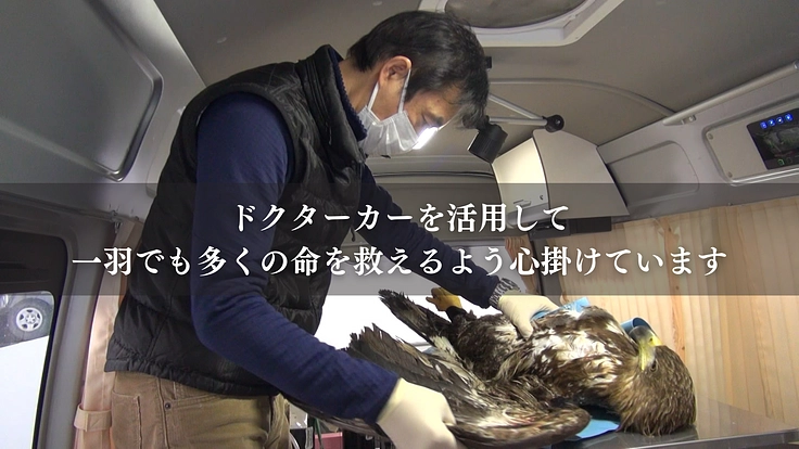 もっと多くの命を繋ぎたい！野生猛禽類の救護と継続飼育体制の充実を 2枚目