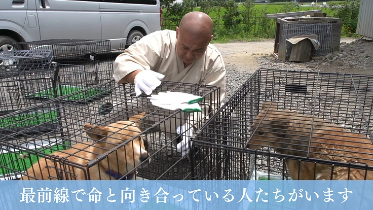 映画『吾輩は保護犬である』完成！映像の力で命の尊さを全国に伝えたい 5枚目