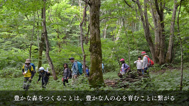 100年後の森の姿をアニメーションで描き、多くの人に伝えたい 8枚目