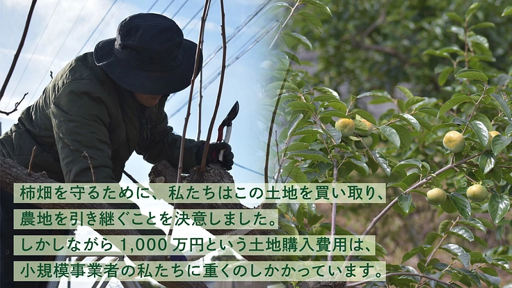 里山と共に生きるJIKE STUDIO|奇跡の田園風景、柿畑を守れ 4枚目