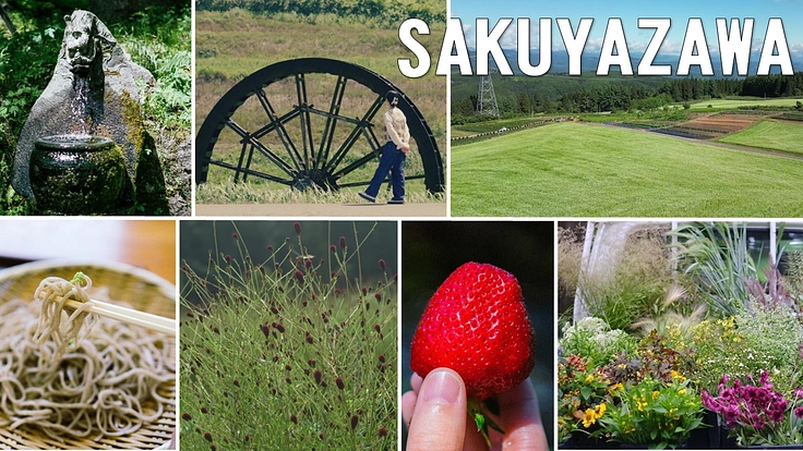 【作谷沢】地域のシンボル「湧水車」が止まった。復活させたい 3枚目
