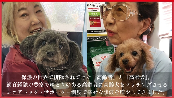 高齢犬も高齢者も排除せず、人と犬が共に幸せに生きられる未来をつくる 7枚目
