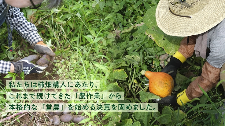 里山と共に生きるJIKE STUDIO|奇跡の田園風景、柿畑を守れ 5枚目