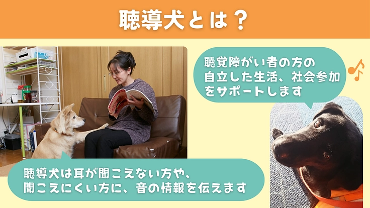 完成目前、ふじみ野市に聴導犬の育成・普及推進施設を建設したい! 2枚目
