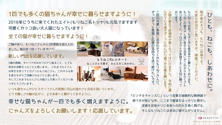 もりねこRe:スタート！ 保護ねこ活動の継続と新たなチャレンジへ 9枚目
