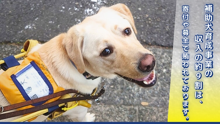 ほじょ犬育成応援プロジェクト2024｜補助犬が当たり前にいる社会へ 2枚目