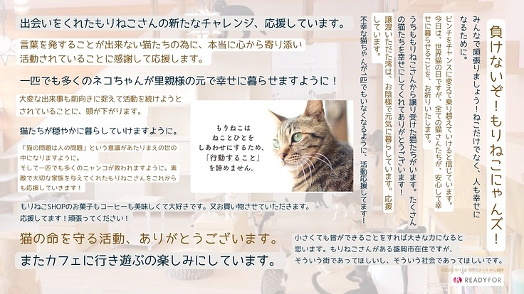 もりねこRe:スタート！ 保護ねこ活動の継続と新たなチャレンジへ 8枚目