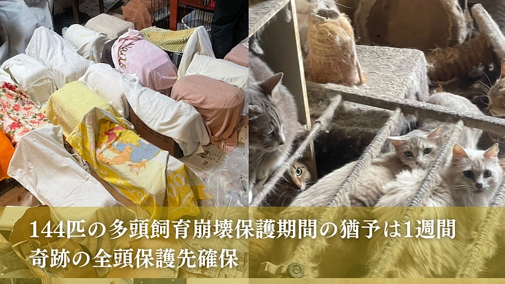 命の線引きをせず全ての猫たちのために。たんぽぽの里、覚悟の挑戦 6枚目