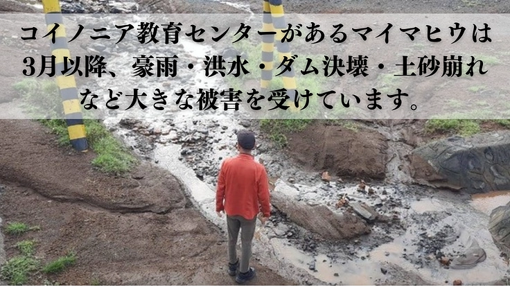 生まれた環境に負けない！世界に羽ばたける教育を｜コイノニアの挑戦 2枚目