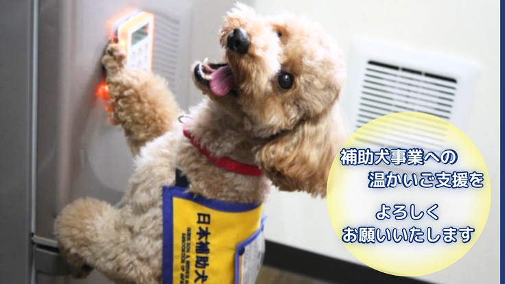 ほじょ犬育成応援プロジェクト2024｜補助犬が当たり前にいる社会へ 5枚目