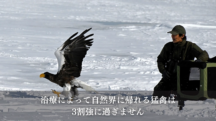命を繋ぎ、共に生きる。希少猛禽類により良い救命医療と共生環境を！ 6枚目