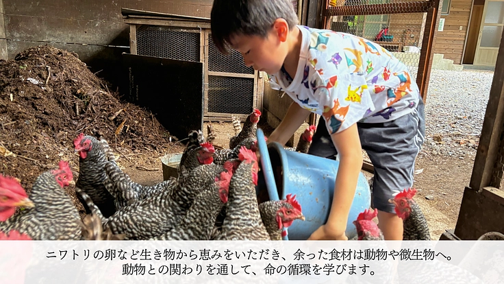 森と海と、次の明日へ。感謝を胸に次の10年へ。 5枚目