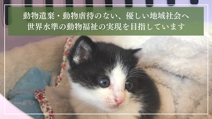 ととの森|猫と人が出会い、温かいご縁を繋ぐ「はじまりの場」の開設へ 6枚目