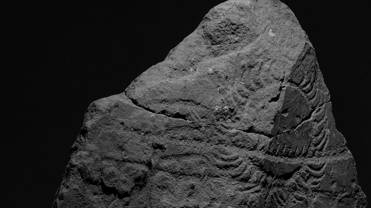 文様に導かれた旅。映画『フィシスの波文』上映応援プロジェクト 5枚目