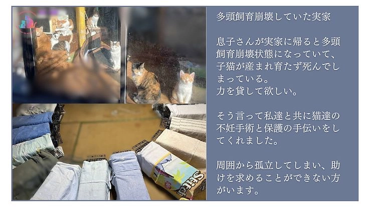 助成金のない東京都あきる野市で地域猫活動を諦めたくない 6枚目