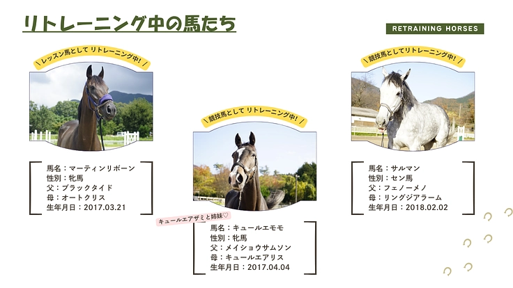 引退競走馬の個性が輝き続けるために|大山と馬、50年の歩みを未来へ 2枚目