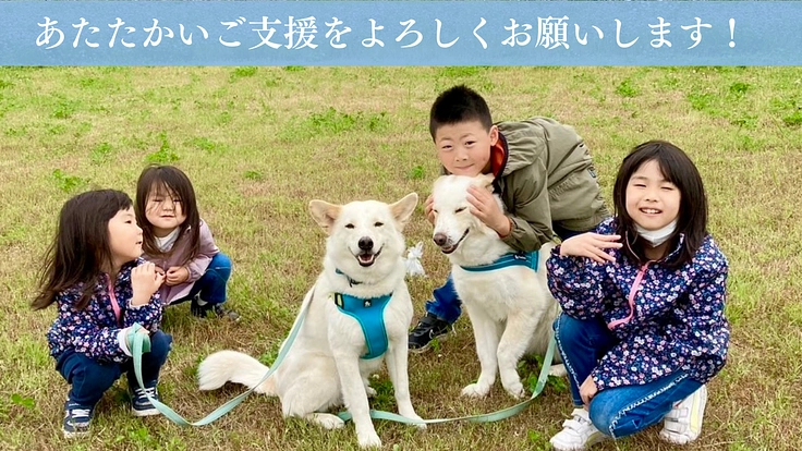 映画『吾輩は保護犬である』完成！映像の力で命の尊さを全国に伝えたい 7枚目
