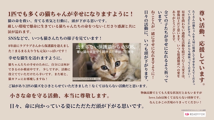 止まらない保護猫からのSOS。尊い猫の命を守り続けるためにご支援を 2枚目