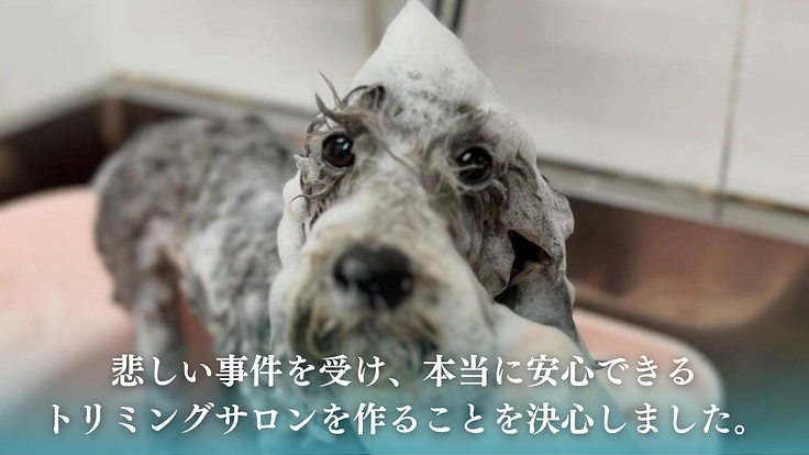 老犬、保護犬でも安心できる【啓発型トリミングサロン】を作りたい！ 8枚目
