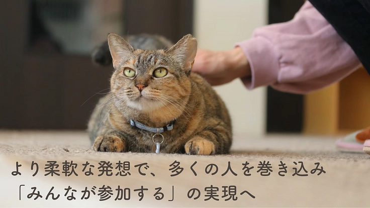 もりねこRe:スタート！ 保護ねこ活動の継続と新たなチャレンジへ 6枚目