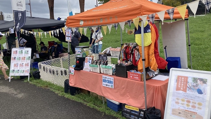 保護犬猫たちにより広く快適な居場所を|第二のシェルター建設へ 3枚目