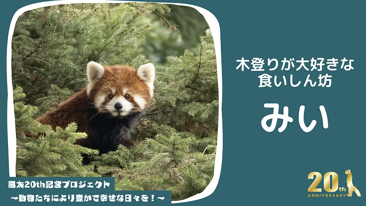 風太20th記念プロジェクト～動物たちにより豊かで幸せな日々を！～ 4枚目