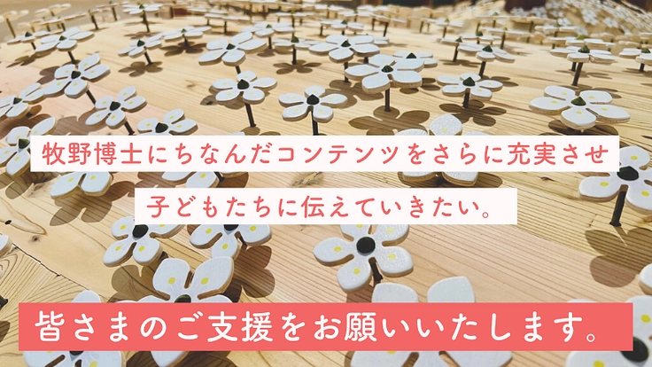 牧野富太郎の植物学のエッセンスが満載のおもちゃ美術館をつくりたい！ 4枚目