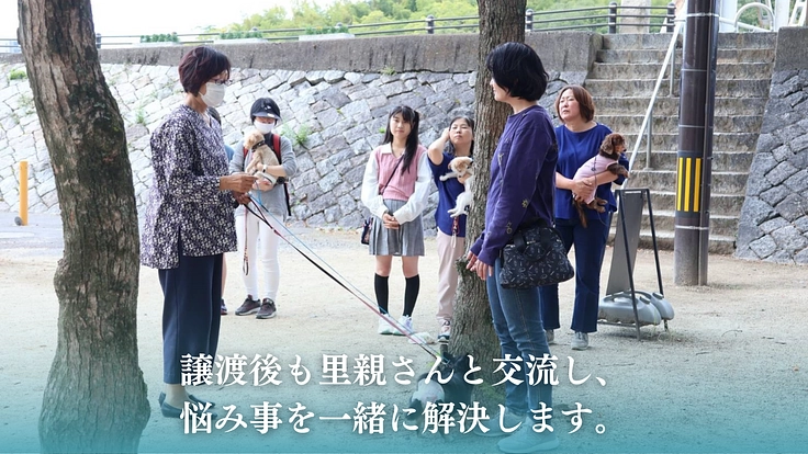 老犬、保護犬でも安心できる【啓発型トリミングサロン】を作りたい！ 5枚目