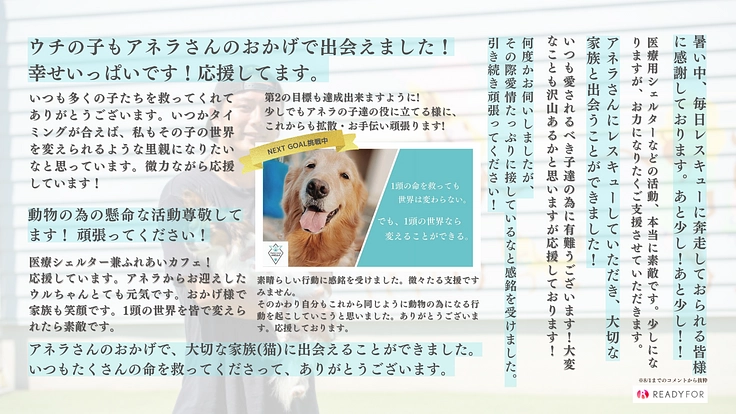 1頭の世界を変える。医療用シェルター兼ふれあいカフェ新設にご支援を 3枚目