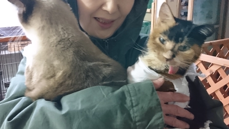 一頭でも多くの命を救いたい〜施設維持のためにご協力をお願いします〜 7枚目