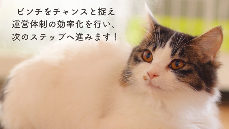 もりねこRe:スタート！ 保護ねこ活動の継続と新たなチャレンジへ 5枚目