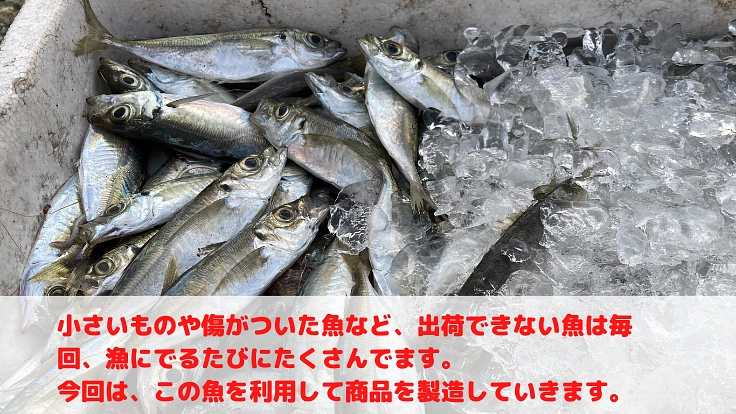 「魚から地域活性化へ」をめざして~魚の加工品企画開発・販売をしたい 5枚目