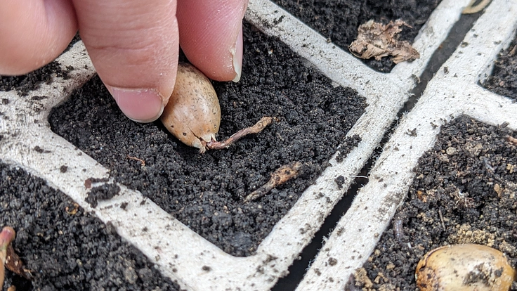 那須高原の森林保護活動の拠点、「那須フォレストセンター」を作りたい 2枚目