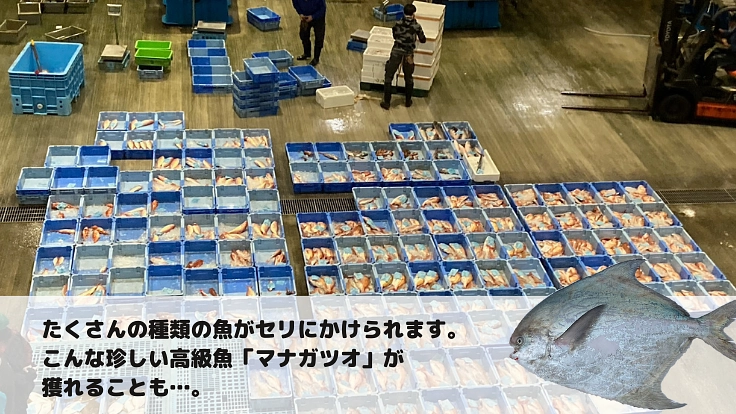 「魚から地域活性化へ」をめざして~魚の加工品企画開発・販売をしたい 4枚目