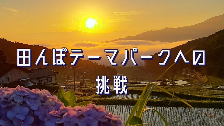 伊万里に子どもたちが遊べる田んぼテーマパークをつくりたい 2枚目