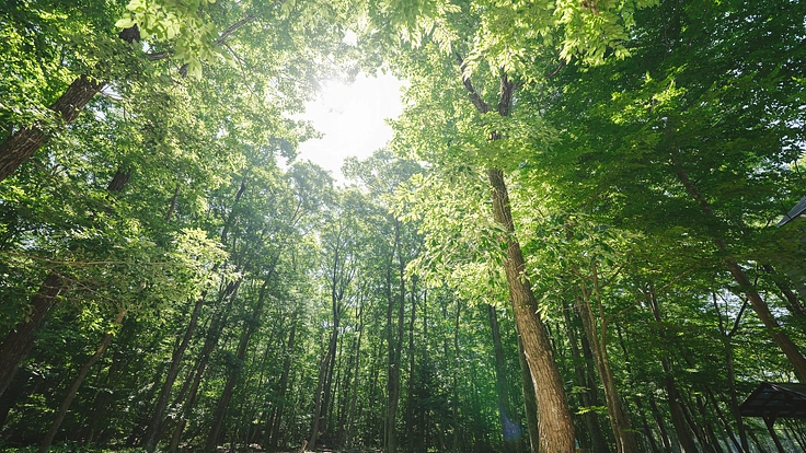 那須高原の森林保護活動の拠点、「那須フォレストセンター」を作りたい 6枚目