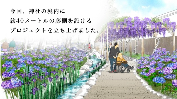 京都伏見・藤森神社～京都の古社で藤爛漫の地復活を～ 6枚目