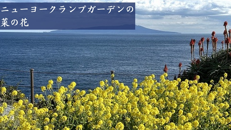 北里柴三郎博士が功績を残した伊東の地に顕彰モニュメントを建立したい 4枚目