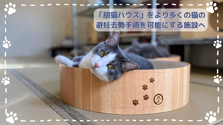 【殺処分ゼロを目指して】2度目の挑戦!朋猫ハウス増設にご支援を! 2枚目