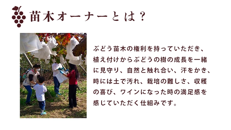 ぶどう畑の景観を次世代へ！耕作放棄地の問題をみんなで解決 3枚目