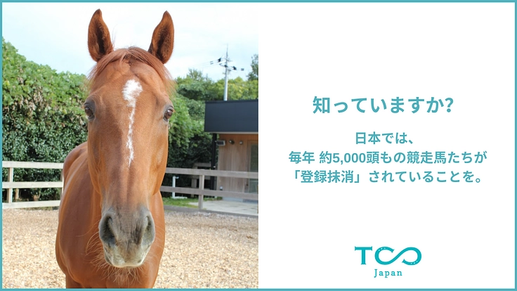 BAFUN×食。引退競走馬とのサスティナブルな共生社会の実現へ！ 2枚目