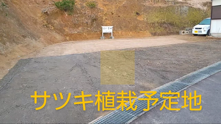 三重・熊野の里山にサツキの庭園 4枚目